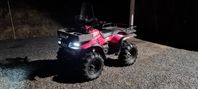 Polaris Sportsman 4x4 