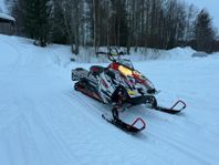 Polaris PRO RMK 800 TD 155 2015