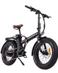 Rawbike 4x