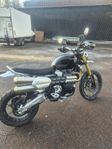 TRIUMP.H.SCRAMBLER.1200XE.2024.