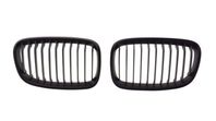 BMW 1-serie grill/njurar f20