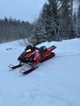 Polaris pro rmk 850