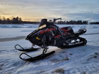 POLARIS KHAOS 155 2020 "SHORTY"