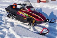 Arctic cat ZL600