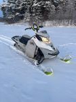 Ski-Doo Freeride 800 146”