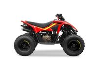 ATV CF MOTO CFORCE 110CC 