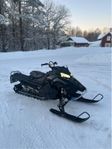 Polaris pro rmk 800