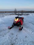 Skidoo summit 800