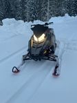 polaris switchback  800