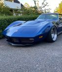 Corvette front spoiler och huv 