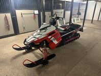 Polaris 800 Pro Rmk 155 -2015