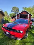 Dodge Challenger 6.1 V8 HEMI