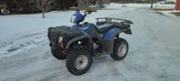 Bashan Sportsman ATV 250