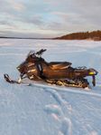 Ski-Doo Renegade 800 BC