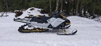 Skidoo Backcountry 600R 2023 146" Dubbeldyna Nyserv Nyskick