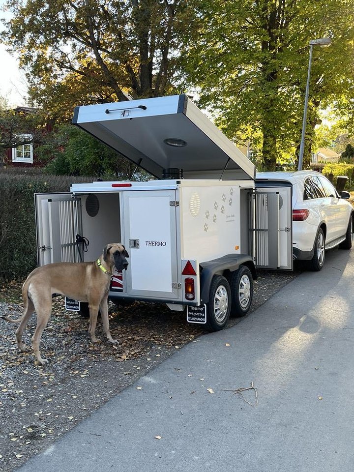 Hund släp/kärra/transport/vagn