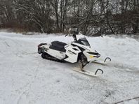 Skidoo Freeride 137