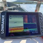 lowrance Elite FS 7