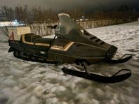 arctic cat cheetah i fint skick