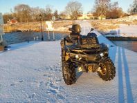 ATV Stels guepard 850 