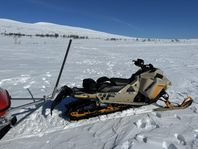 Ski-doo Freeride 146 850 -22