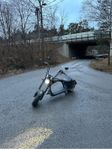 Moped klass 1