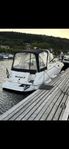 Sea Ray 280/315 bogpropeller/ny motor. ev byte