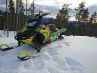 lynx boondocker