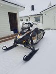 Lynx Rave RE 800 -12