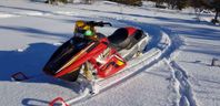 ski doo mxz 800