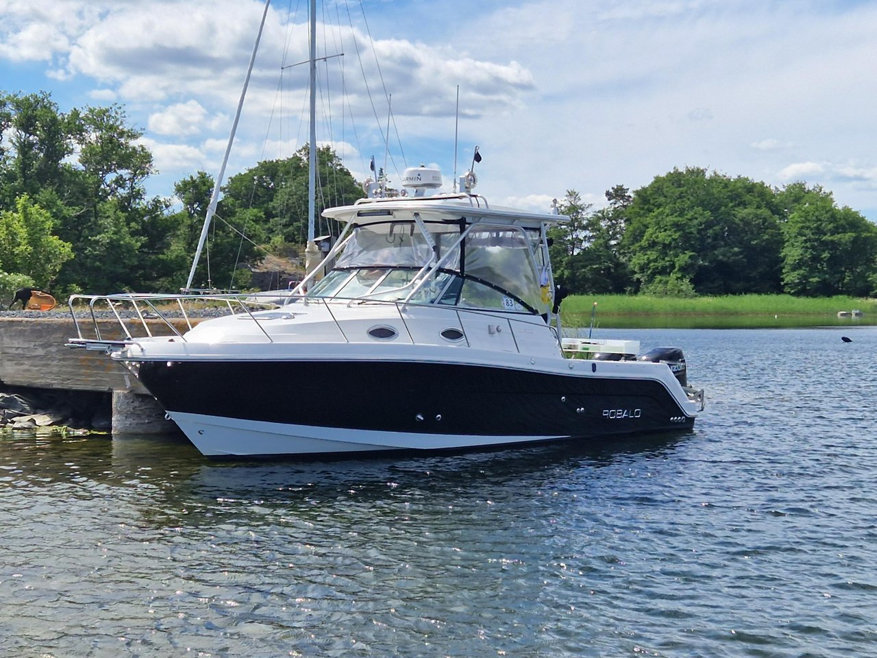 Robalo 305 WA