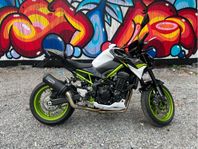 Kawasaki Z900 Helsystem 2021