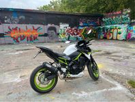 Kawasaki Z900 Helsystem 2021