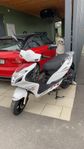 Viarelli Rivetto -2023 Eu-moped - 45 km/h - 4-takt - 39,5mil