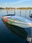 Baja Outlaw 29 2x496HO