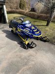 Polaris Edge X 600
