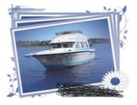 Bayliner 2855 Contessa sunbridge 1987