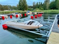 Sea ray 190 v6
