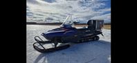 Arctic cat bearcat 550 wt - 2002