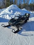 Arctic Cat Panther 550