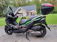 kawasaki j300