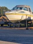 SeaRay 220 Sundancer 