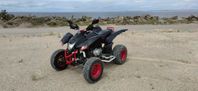 SMC 300 cc  Fyrhjuling 