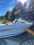 Quicksilver 470