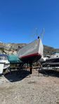 Albin Scampi  30