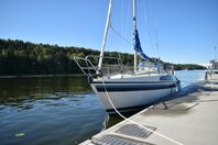 Sunwind 26