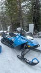 Skidoo summit 146”