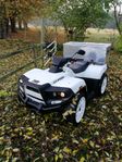 Cectek Quadrift 500 Efi 