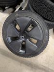 Tesla model 3  vinterhjul dubb