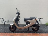 Niu M+ sport 2019